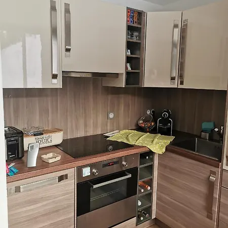Ferienwohnung Le Grand Cerf Le Pelvou Vars  Exterior foto